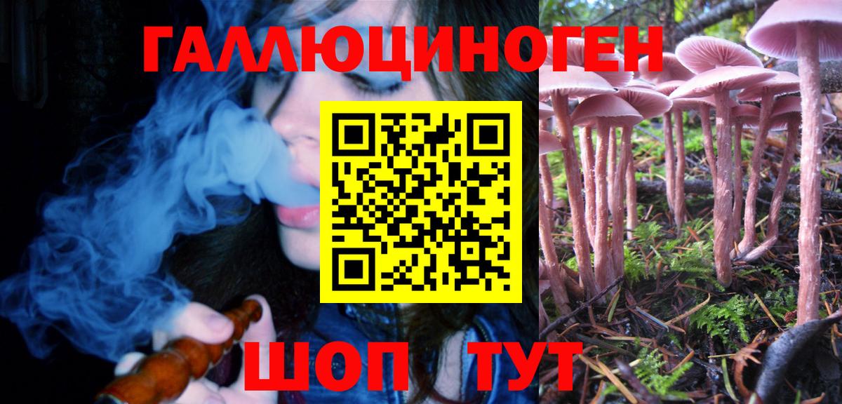Галлюциногенные грибы Psilocybe  Галлюциногенные грибы прущие грибы  Вход с VPN  Троицк 